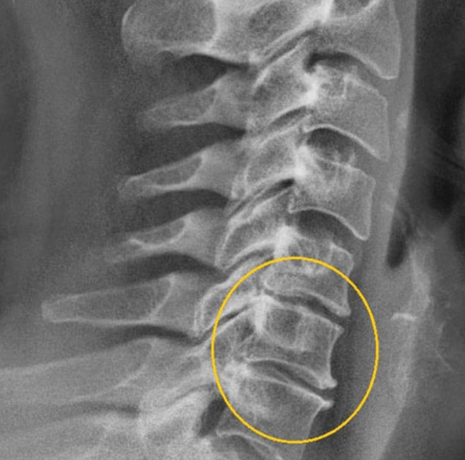 Diagnostesch Bild